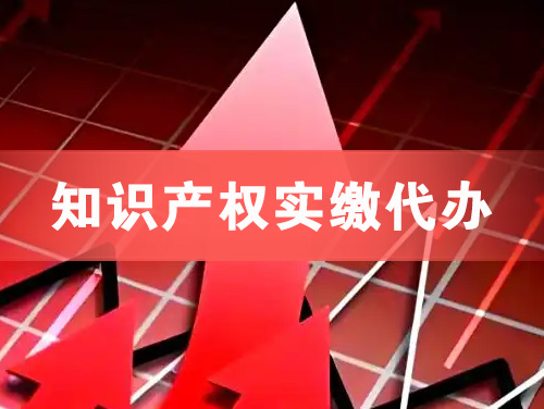 安国知识产权实缴资本代办